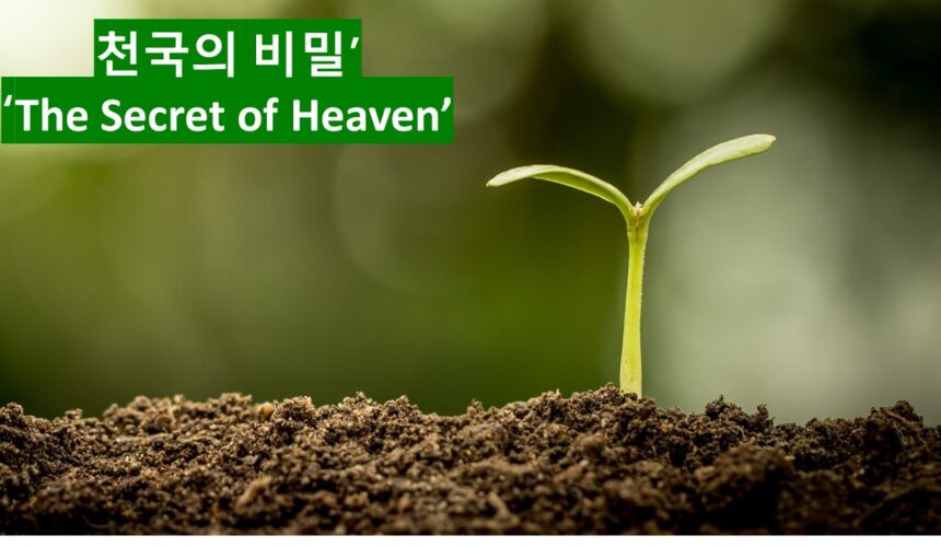 ‘천국의 비밀’ 마태복음 13장 3-9절