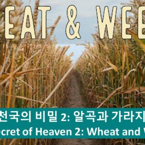 ‘천국의 비밀 2-알곡과 가라지 비유’ 마 13장 24-30절