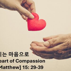 ‘불쌍히 여기는 마음으로’ 마태복음 15장 29-39절