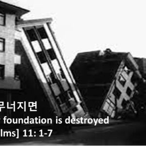 ‘네 터가 무너지면’ 시편 11:1-7