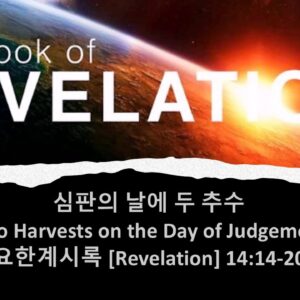 5/16/25 “심판의 날에 두 추수” 요한계시록 14:14-20