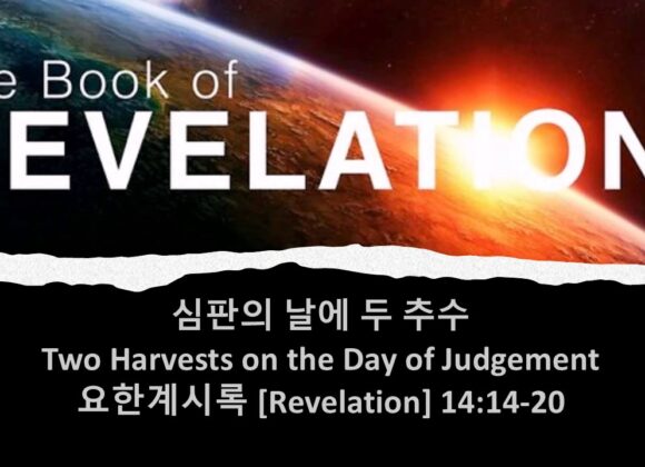 5/16/25 “심판의 날에 두 추수” 요한계시록 14:14-20