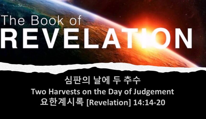 5/16/25 “심판의 날에 두 추수” 요한계시록 14:14-20