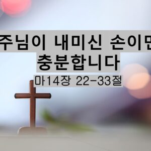 5/9/25 “하나님이 내미신 손이면 충분합니다” 마 14:22-33