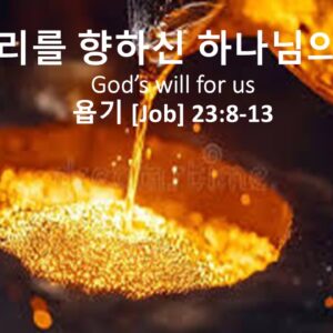 6/15/25 “우리를 향한 하나님의 뜻” 욥기 23:8-13