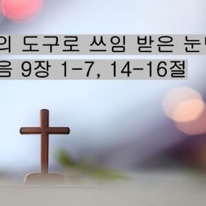7/12/25 “하나님의 도구로 쓰임 받은 눈먼 자​”  요한복음 9장 1-7, 14-16절