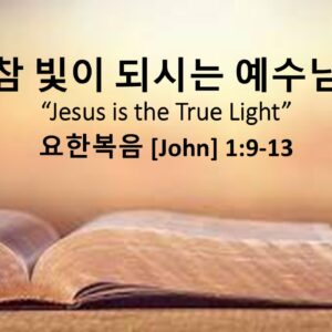 11/02/25 “참 빛이 되시는 예수님” 요한복음 1장 9-13절