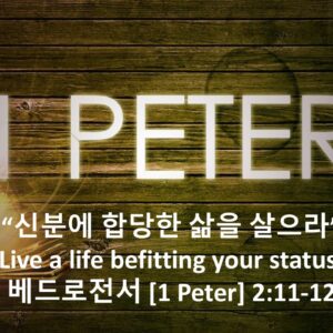 2/20/26 “신분에 합당한 삶을 살으라” 베드로전서 2장 11-12절 2/20/26 “신분에 합당한 삶을 살으라” 베드로전서 2장 11-12절