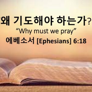 2/22/26 “왜 기도해야 하는가?” 에베소서 6장 18절 2/22/26 “왜 기도해야 하는가?” 에베소서 6장 18절