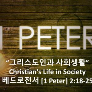 3-13-26 “그리스도인과 사회생활”  베드로전서 2장 18-25절