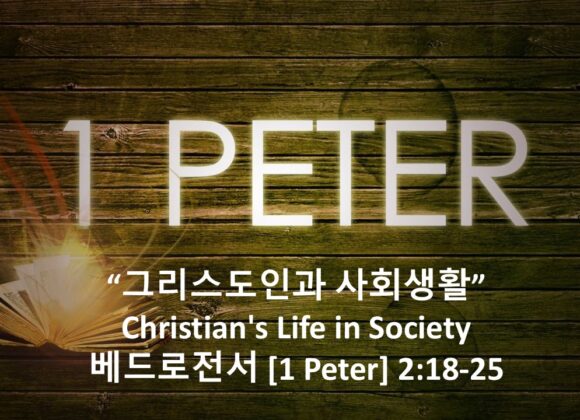 3-13-26 “그리스도인과 사회생활”  베드로전서 2장 18-25절