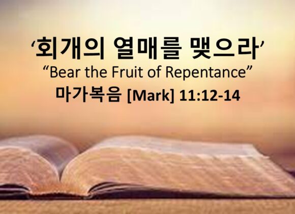 3/22/26 “회개의 열매를 맺으라” 마가복음 11장 12-14절
