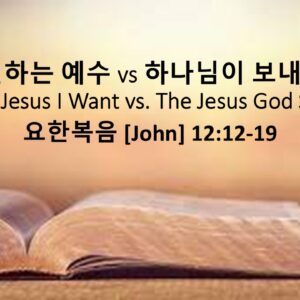 3/29/26 “내가 원하는 예수 VS 하나님이 보내신 예수” 요한복음 12:12-19