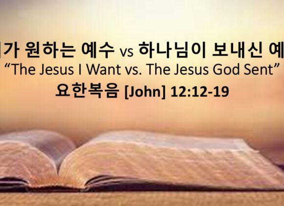 3/29/26 “내가 원하는 예수 VS 하나님이 보내신 예수” 요한복음 12:12-19