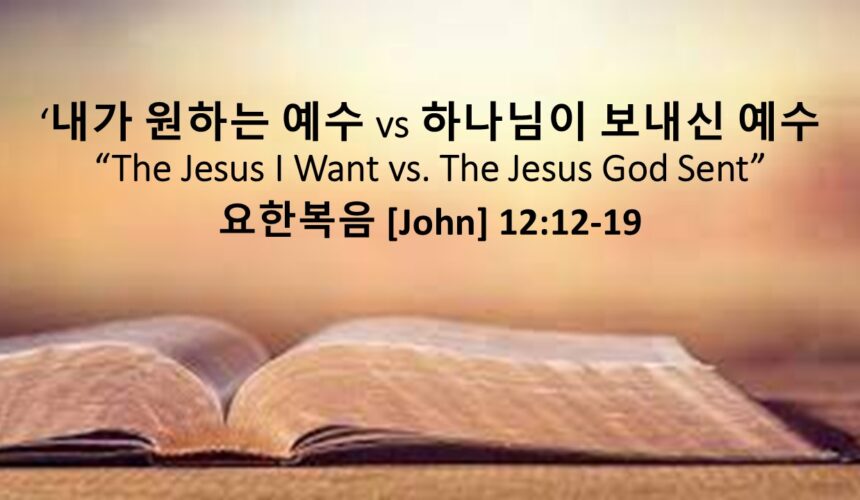 3/29/26 “내가 원하는 예수 VS 하나님이 보내신 예수” 요한복음 12:12-19