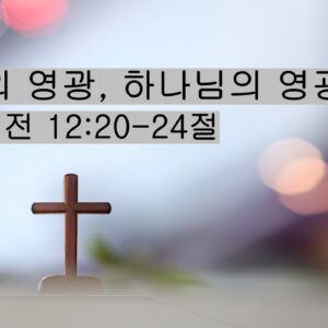 4/11/26 “사람의 영광, 하나님의 영광”​  사도행전 12:20-24절