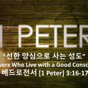 4/24/26 “선한 양심으로 사는 성도”  베드로전서 3장 16-17절
