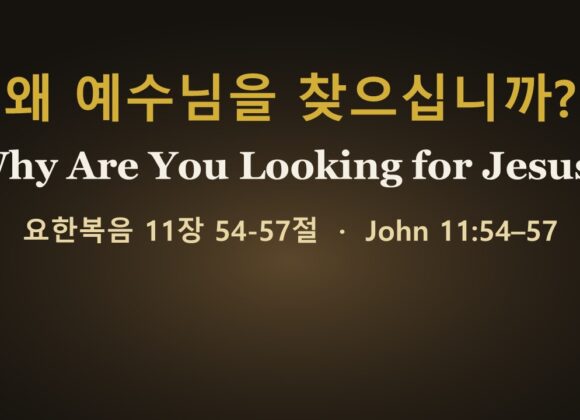 10-25-26 “왜 예수님을 찾으십니까?” 요한복음 11:54-57